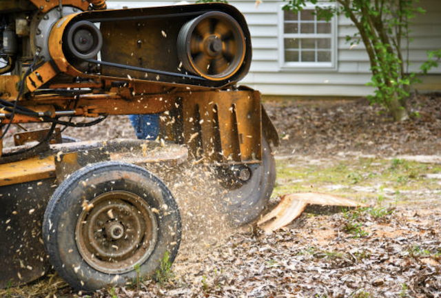 stump grinding hamilton oh